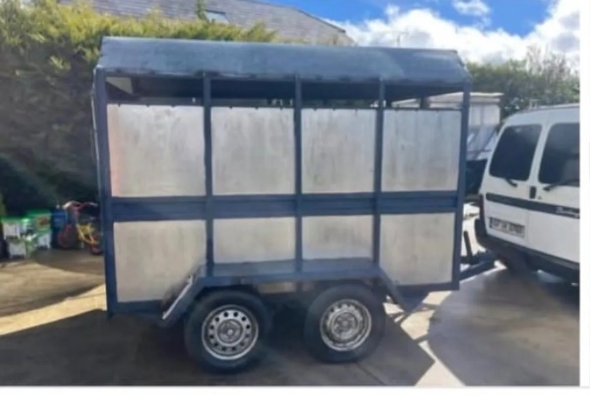 Sheep / Calf Trailer 8 x 5 - Image 1