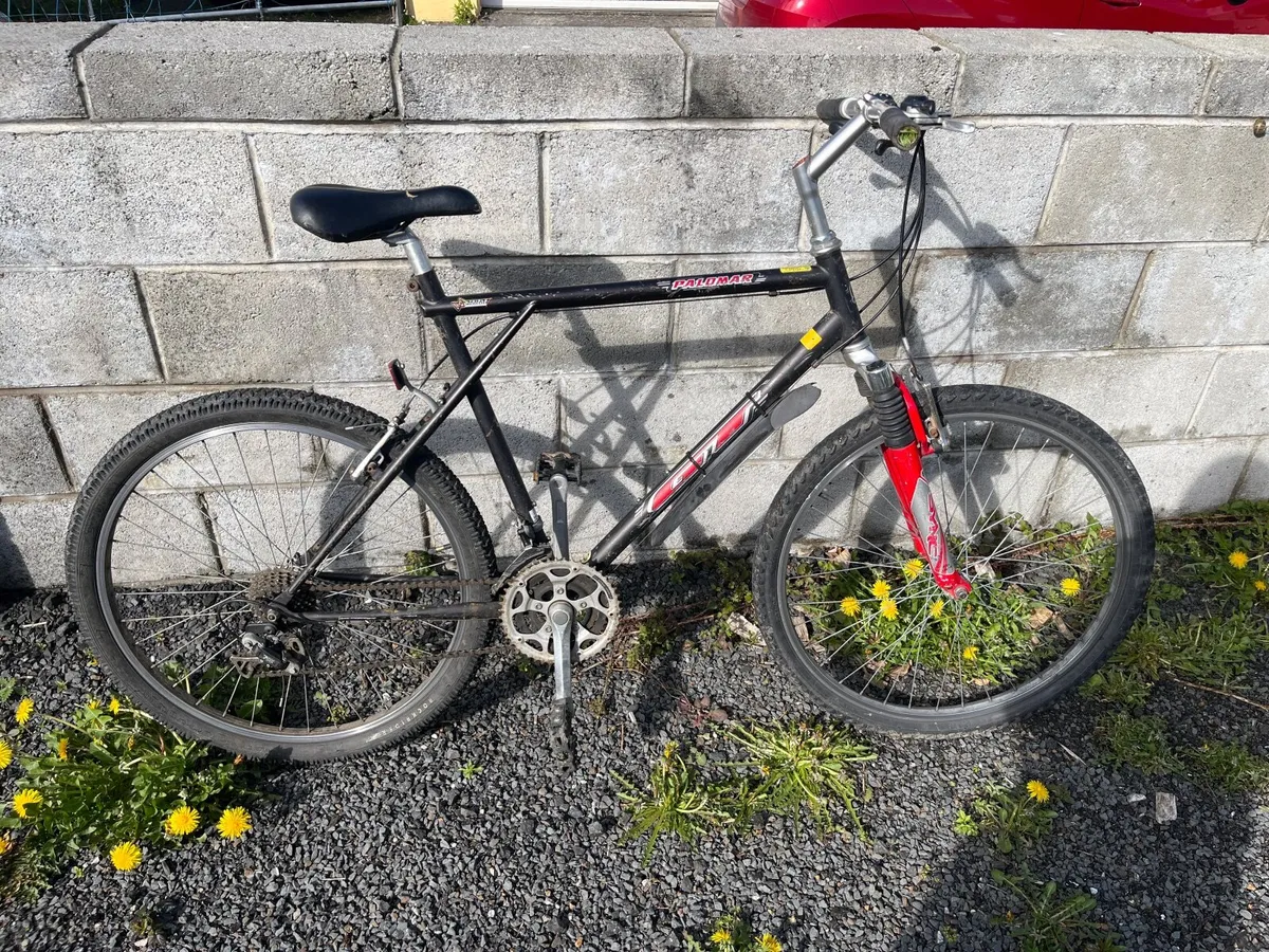 Palmor GT mountain bike - Image 1