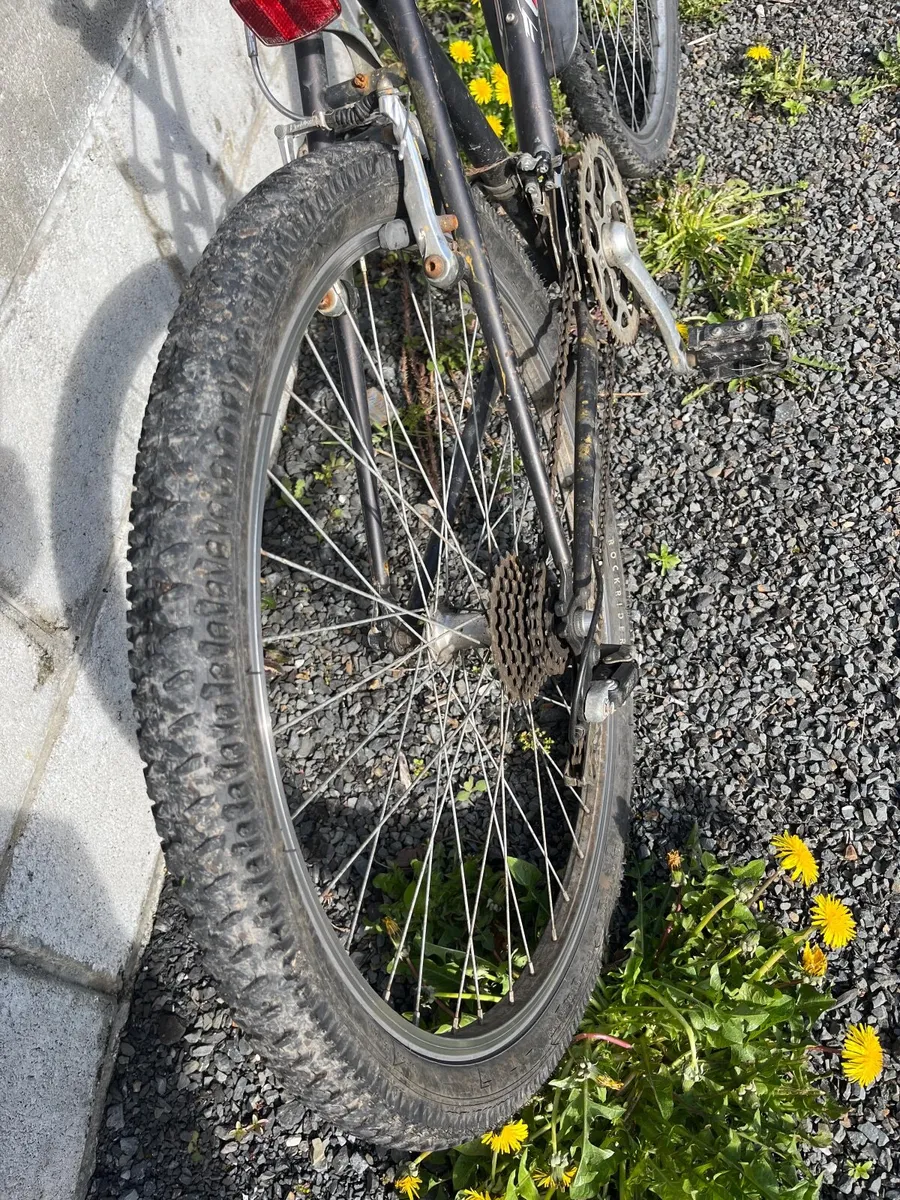 Palmor GT mountain bike - Image 2