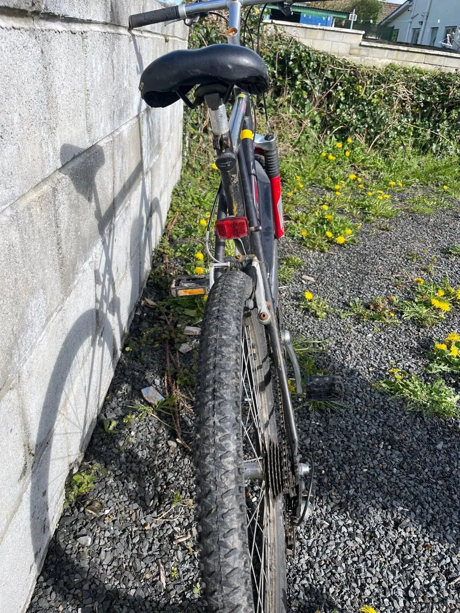 Palmor GT mountain bike - Image 4