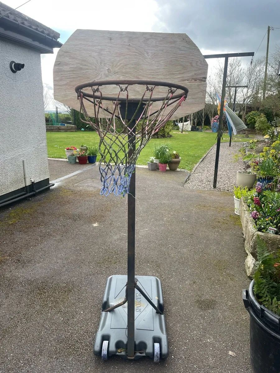 Free basketball net