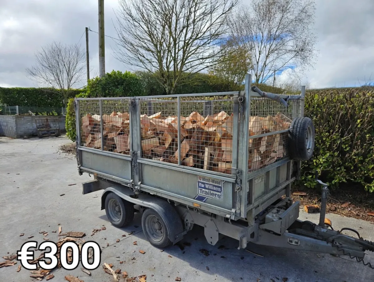 Firewood - Image 2