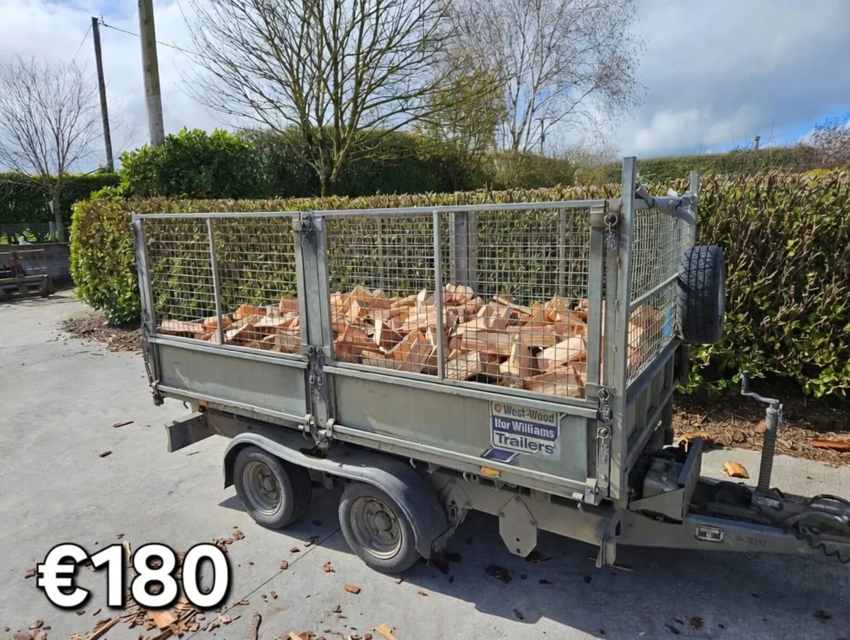 Firewood - Image 3