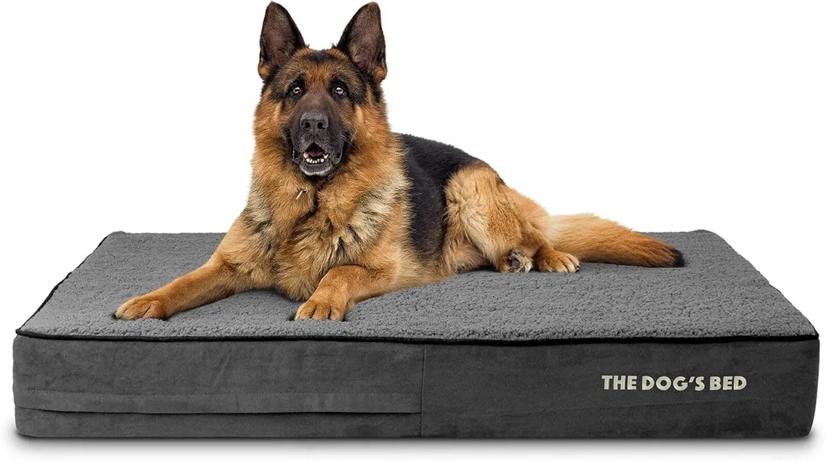 The Dog’s Bed Orthopaedic Memory Foam Dog for XL - Image 1