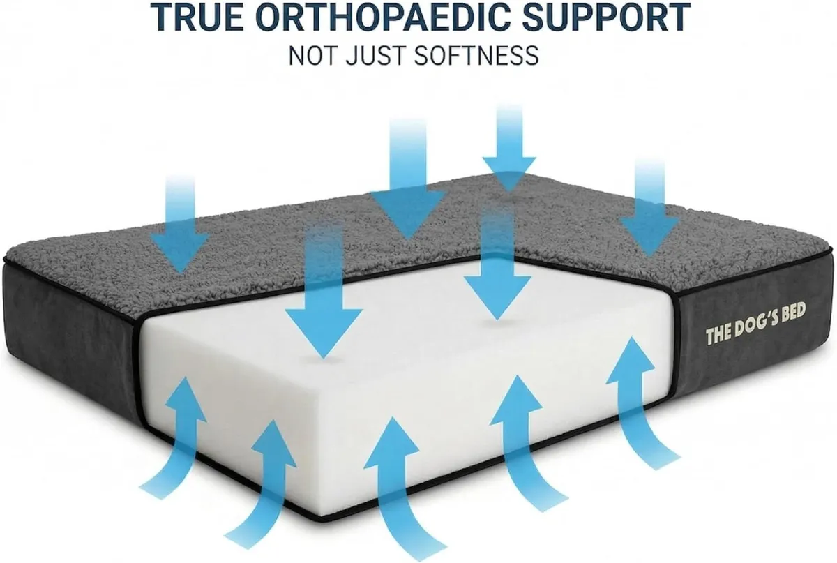 The Dog’s Bed Orthopaedic Memory Foam Dog for XL - Image 2