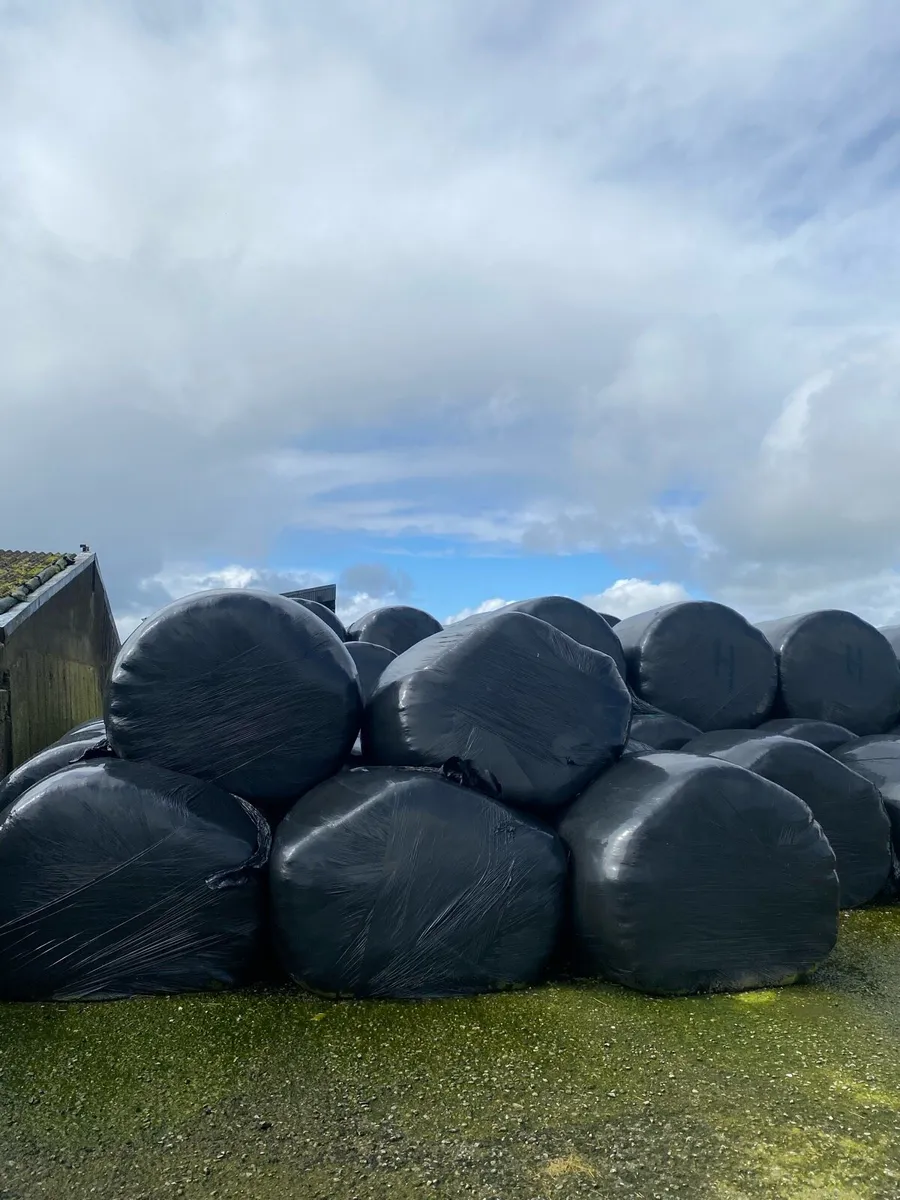 Silage bales - Image 1