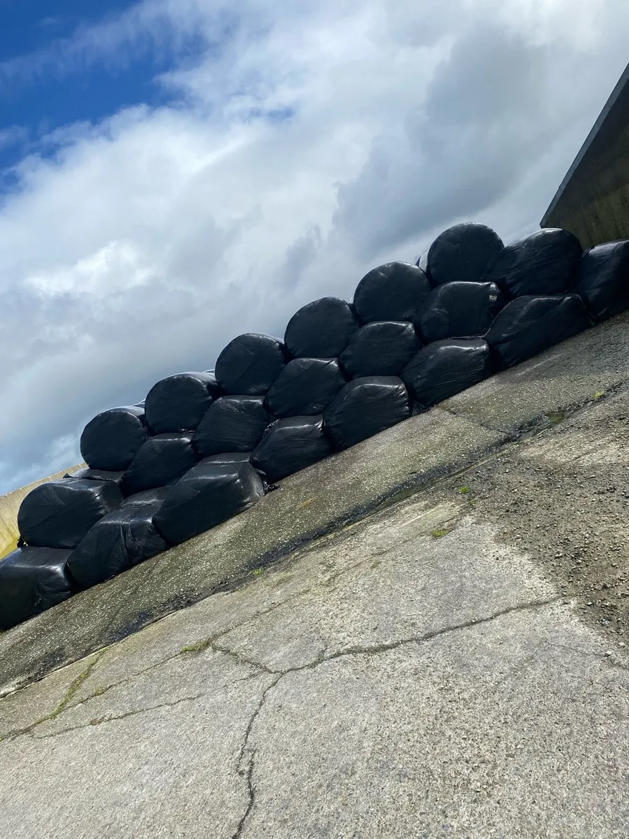 Silage bales - Image 2