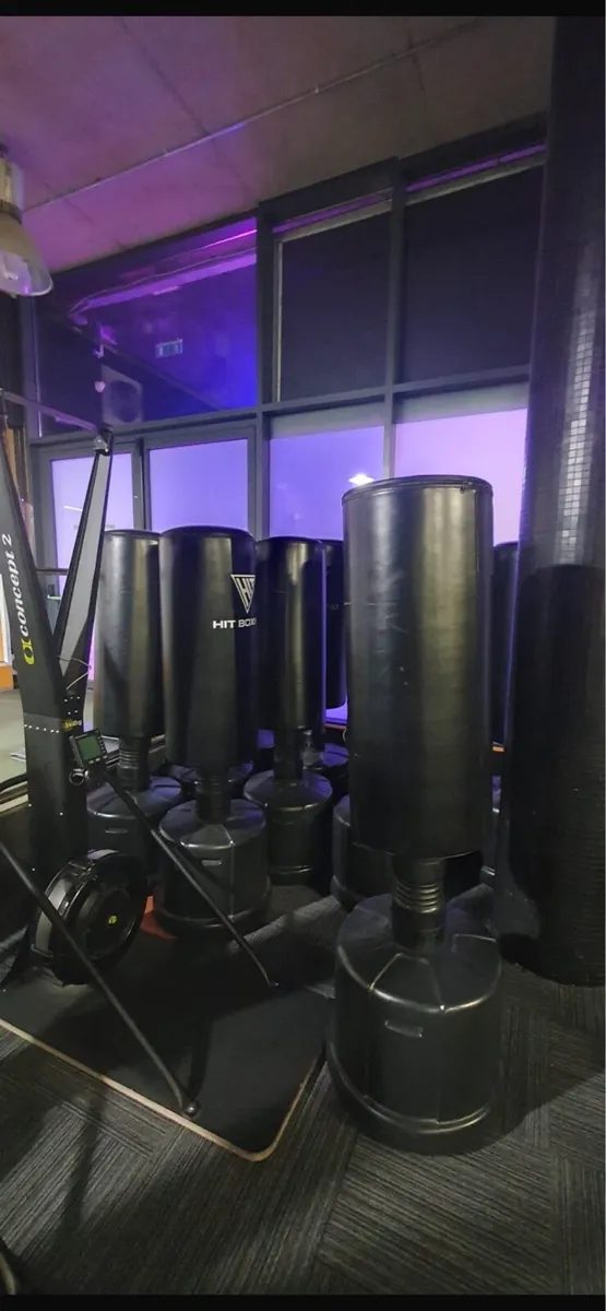 BOXING BAGS - Image 1