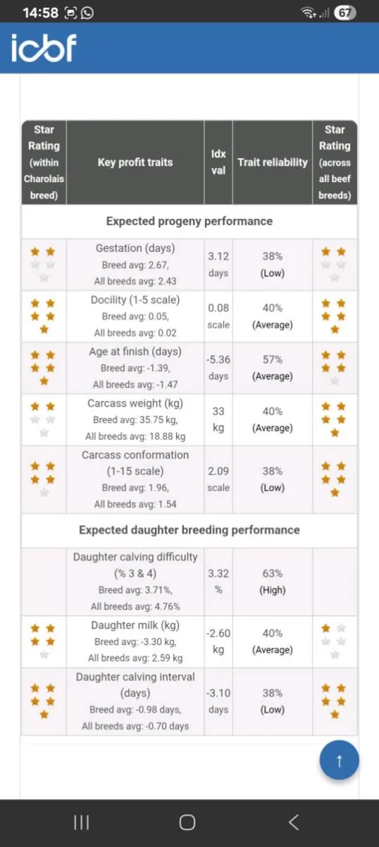 Pbr char bull - Image 4