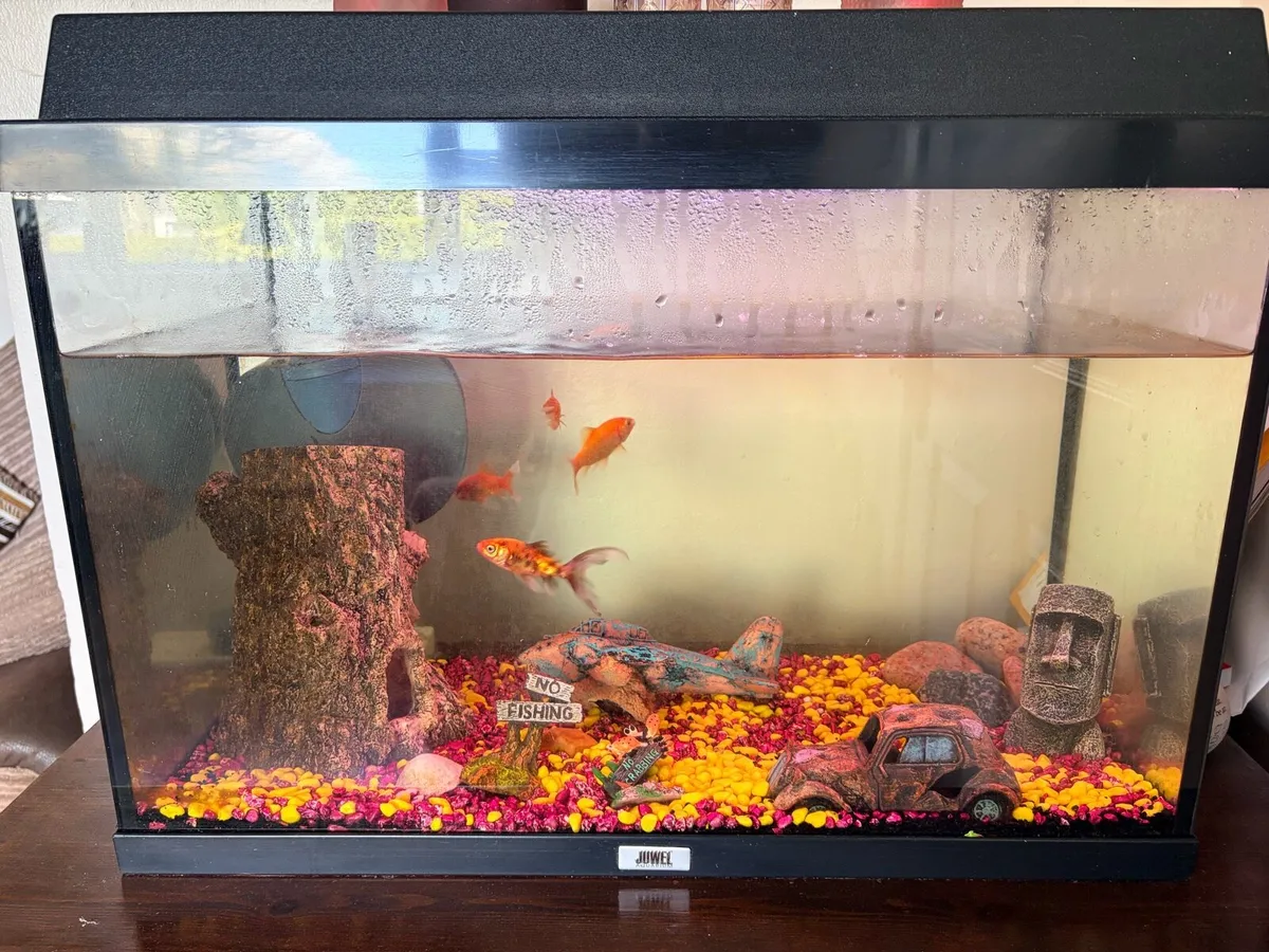 Fish tank - Image 1