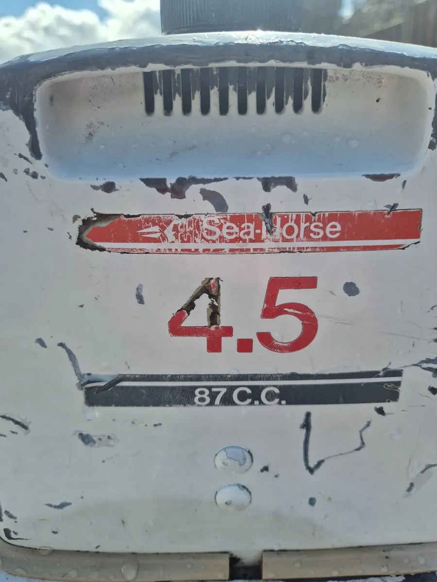 15ft Sheelin Boat - Image 2