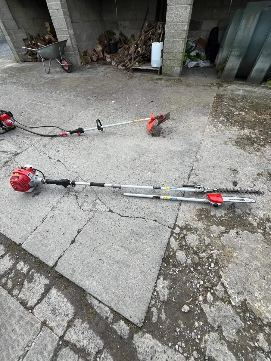 Hedgetrimmer + Chainsaw Head - Image 1