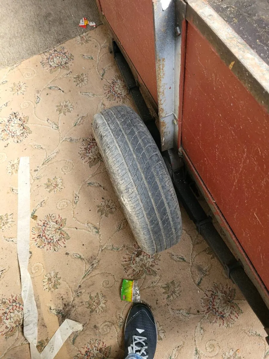 QUAD Trailer - Image 3