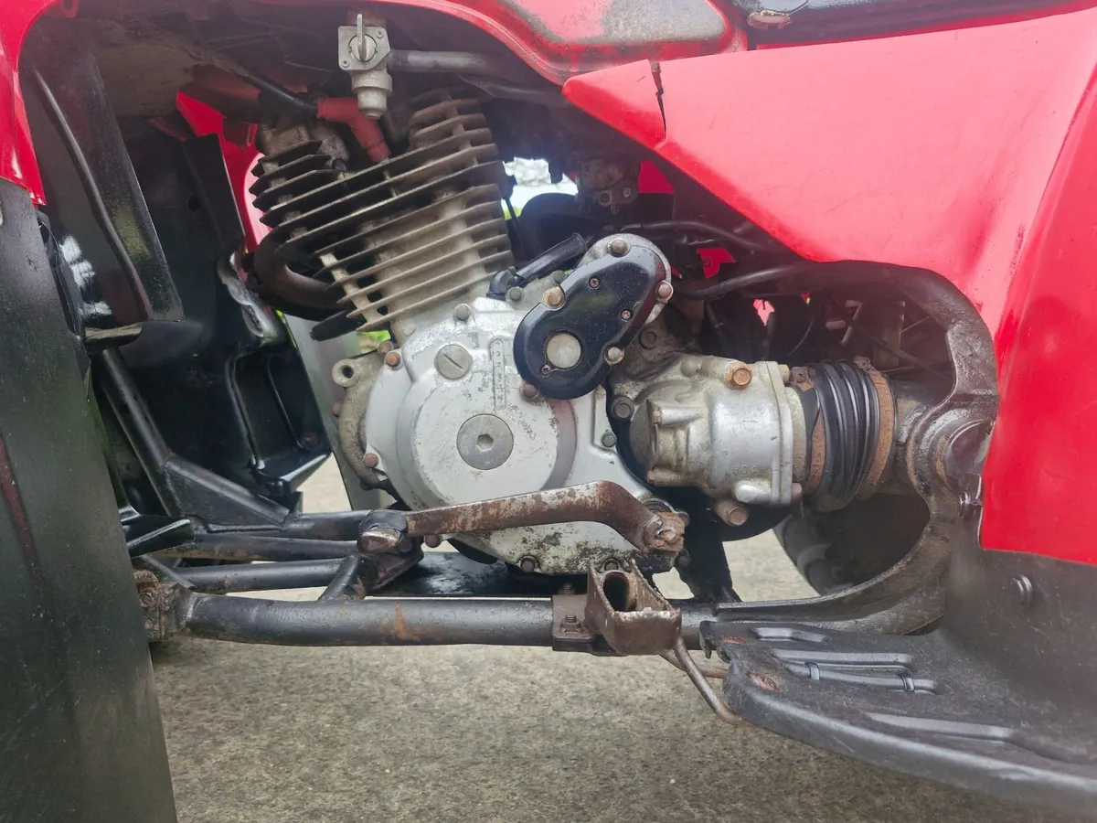 Honda 300 swap for Lawnmower - Image 4