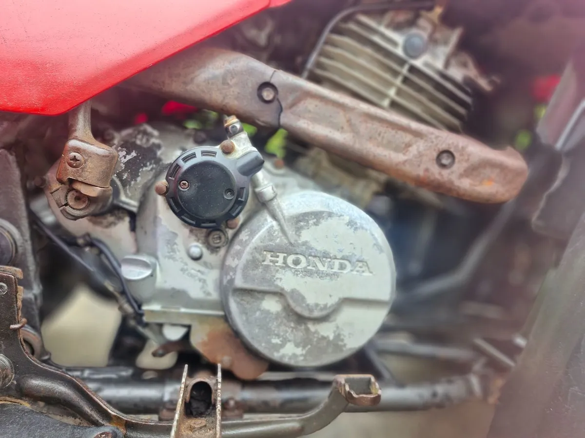 Honda 300 swap for Lawnmower - Image 2