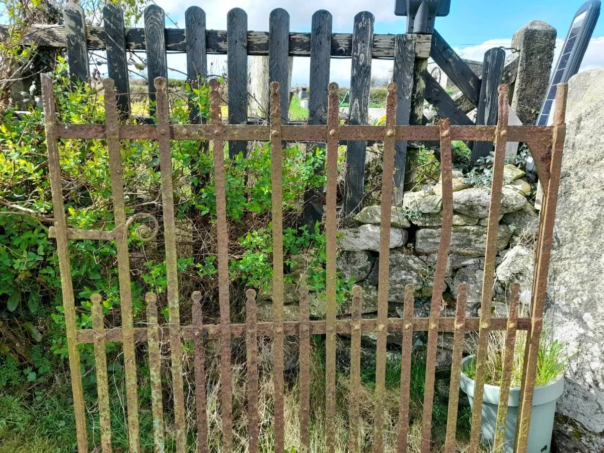 Wrought iron gate - Image 1