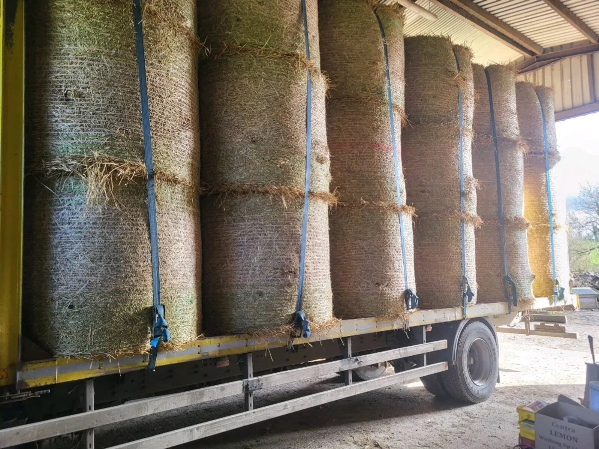 Top quality hay and straw can deliver - Image 2