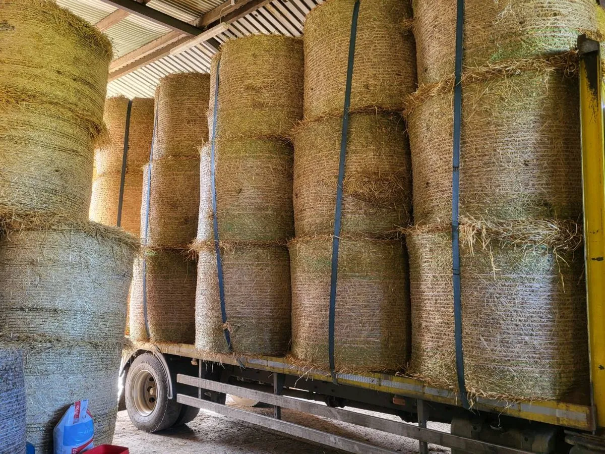 Top quality hay and straw can deliver - Image 1