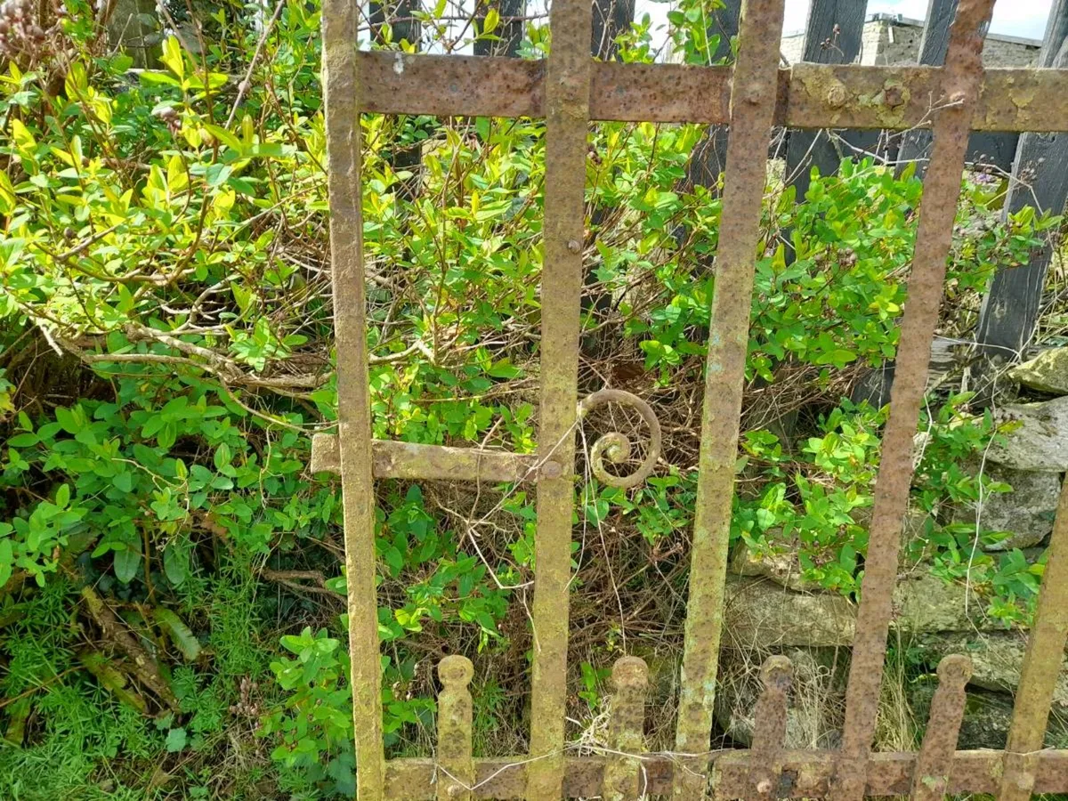 Wrought iron gate - Image 3