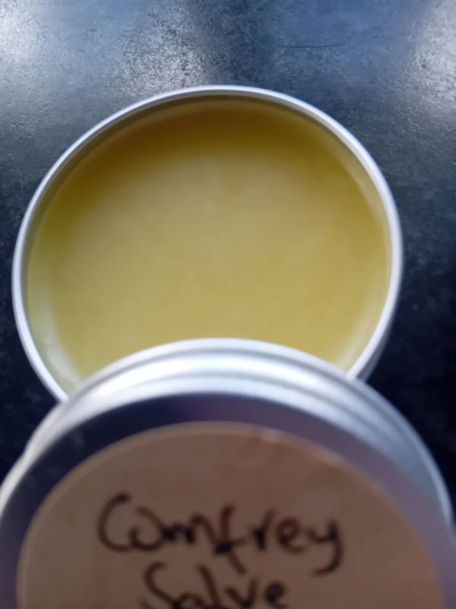Comfrey Salve - Image 2