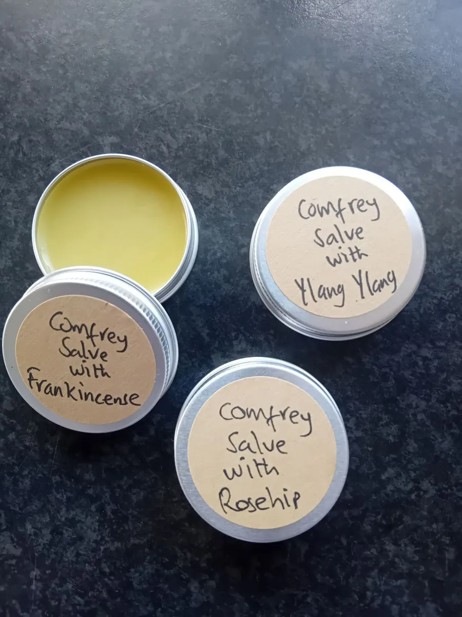 Comfrey Salve - Image 1