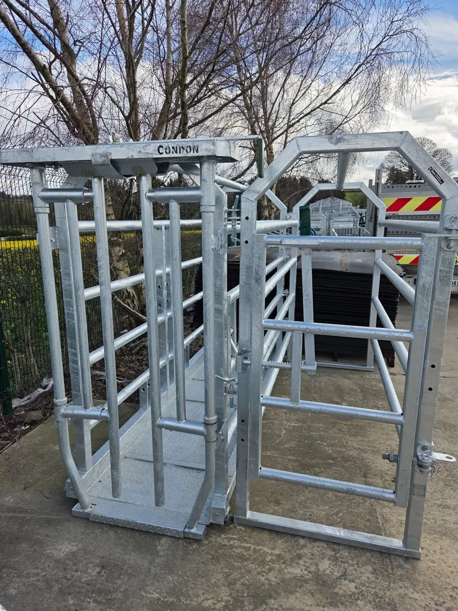 Mobile Crush - Image 1