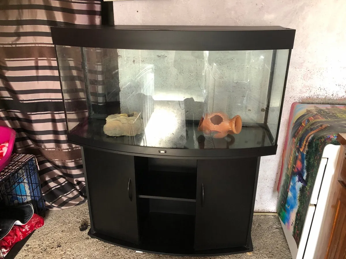 Fish tank - Image 1