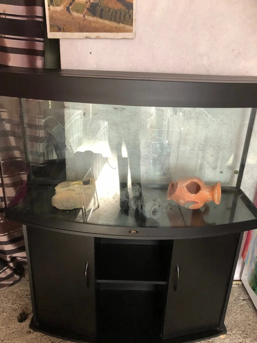 Fish tank - Image 2