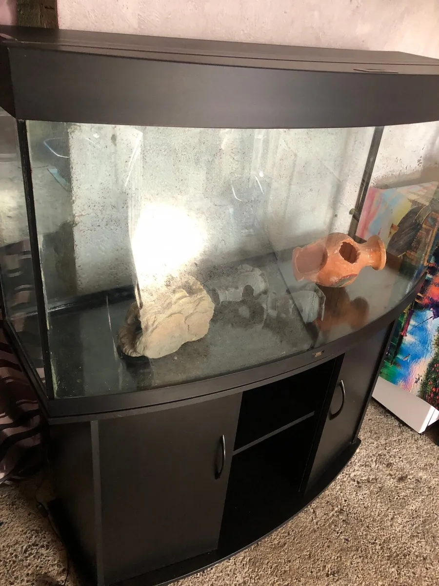 Fish tank - Image 3