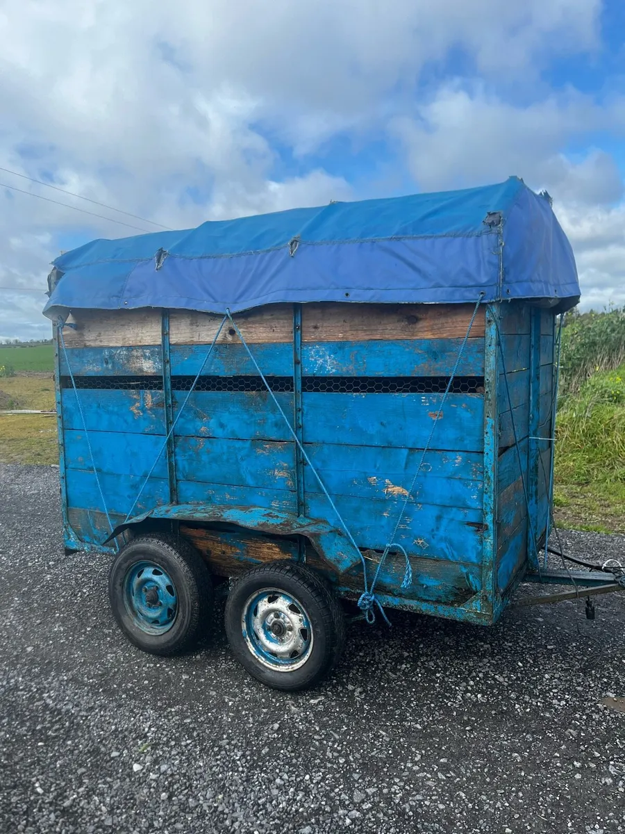 Sheep trailer or Quad Trailer - Image 3
