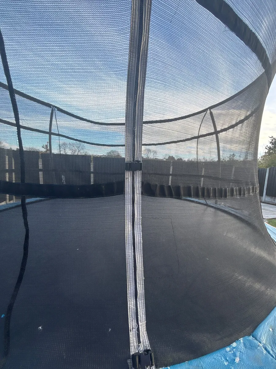 Trampoline - Image 3