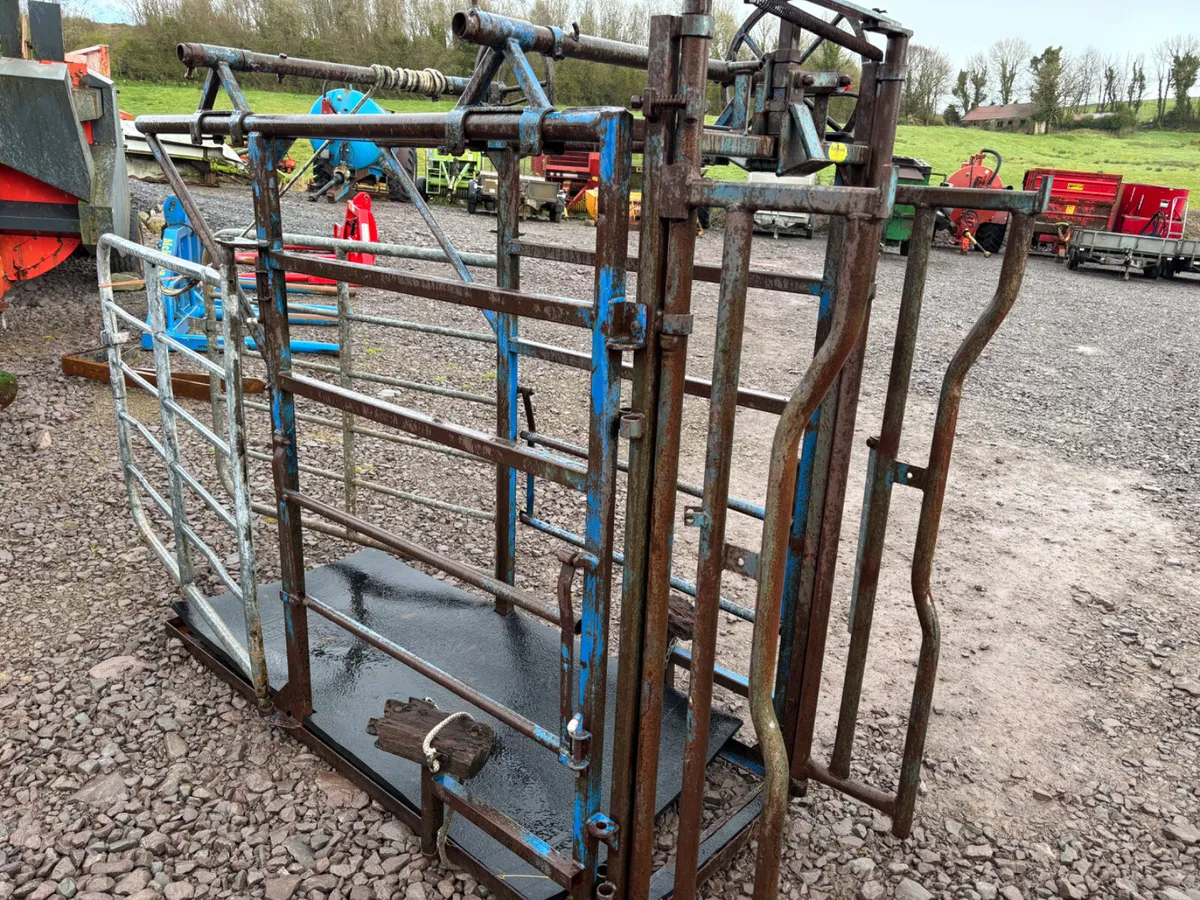 Hoof trimming crush - Image 3