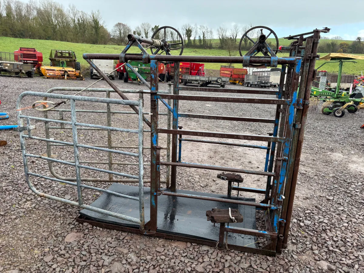 Hoof trimming crush - Image 1