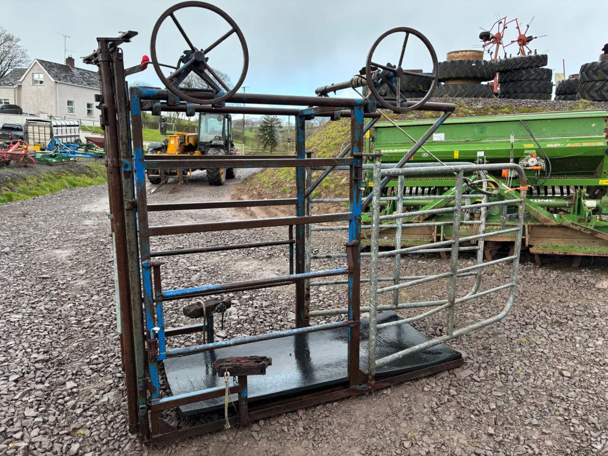 Hoof trimming crush - Image 2