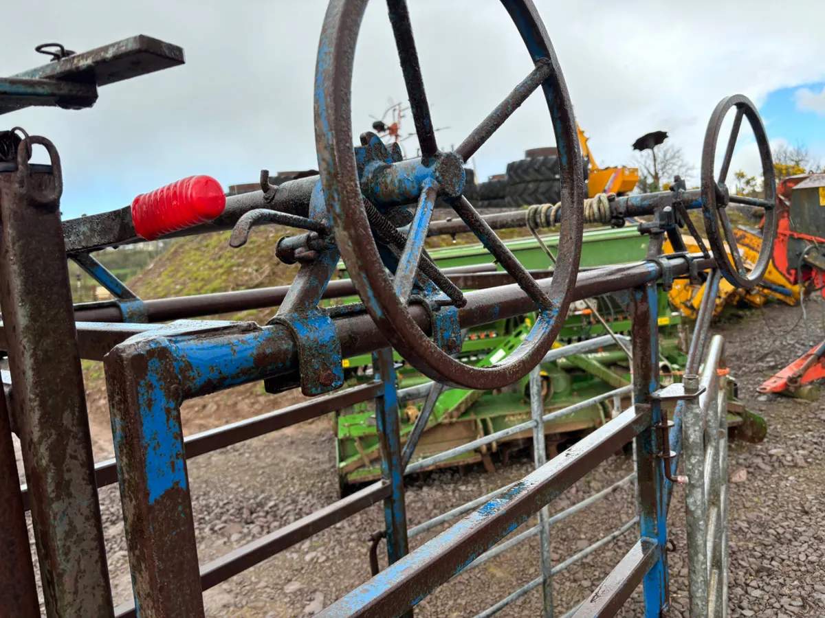 Hoof trimming crush - Image 4