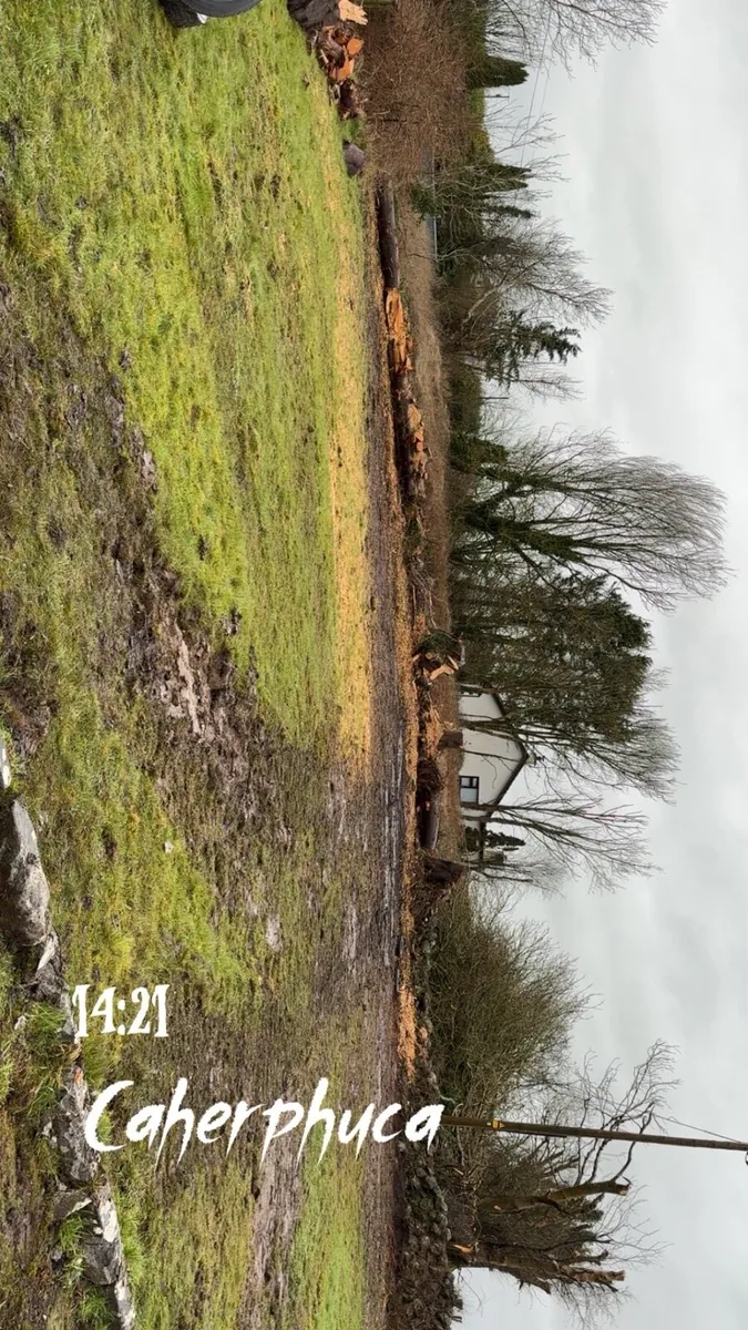 Plant hire / ground works / tree care - Image 4