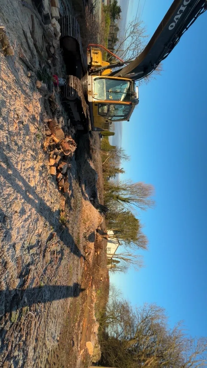 Plant hire / ground works / tree care - Image 2
