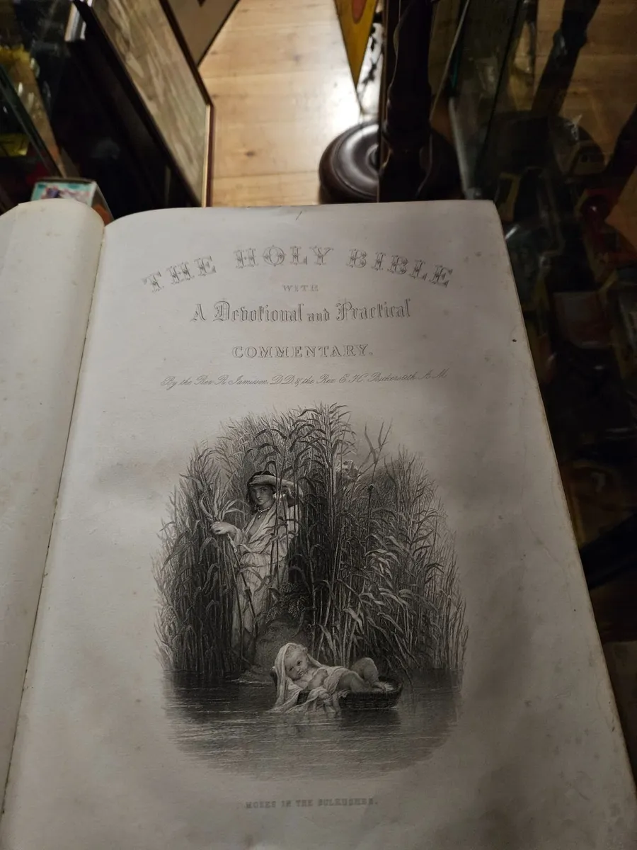 Vintage Antique Jamieson Family Bible - Image 3