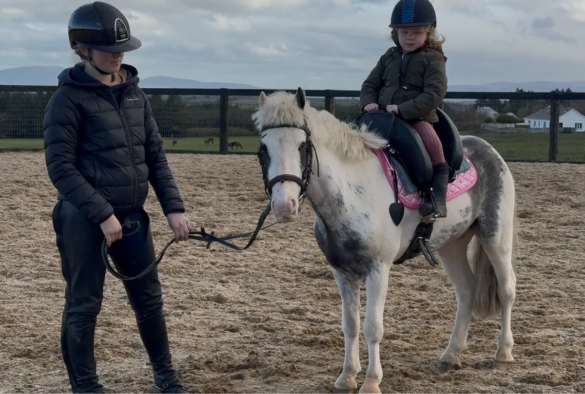 The PERFECT first pony !! - Image 1