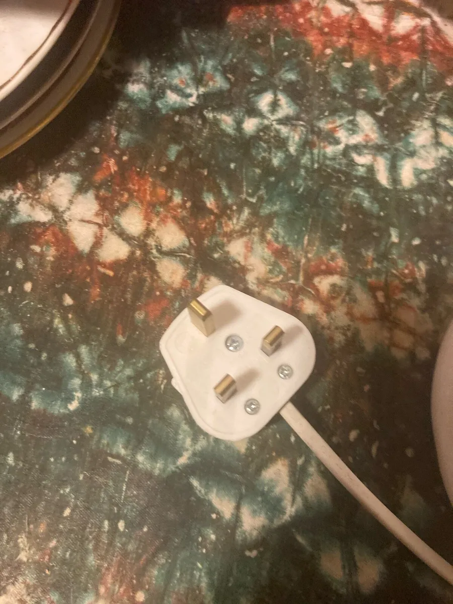 Pheasant bird lamp free postage - Image 2