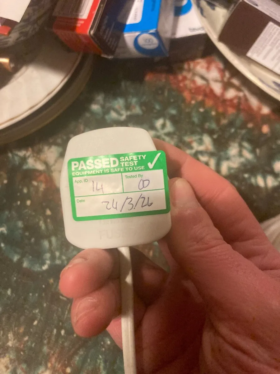 Pheasant bird lamp free postage - Image 3