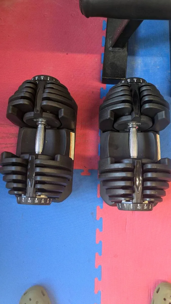 Gym Equipment - Squat Rack - Dumbbells - Barbell - Image 1