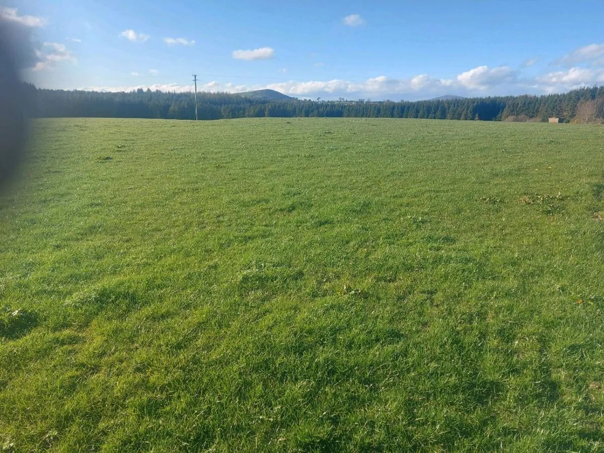 60 Acres of land to rent - Image 1