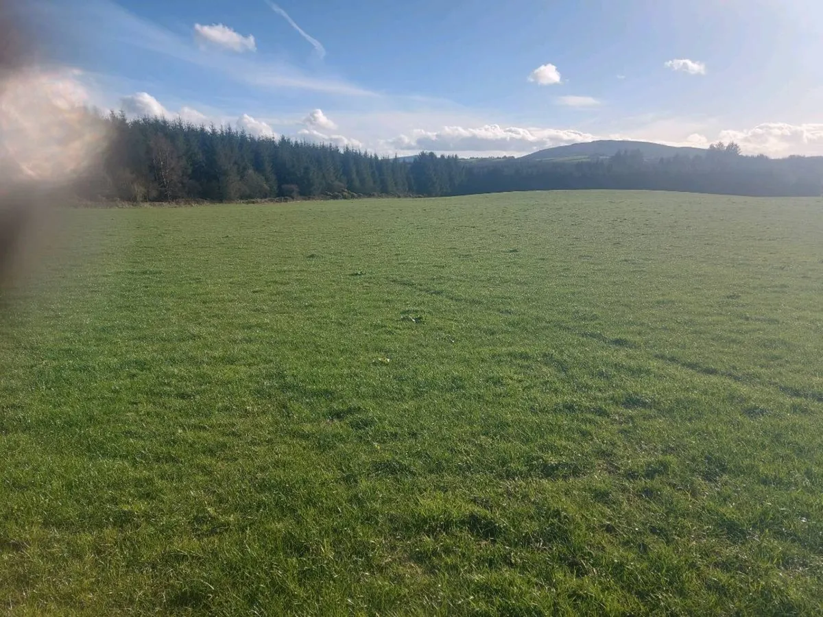 60 Acres of land to rent - Image 2