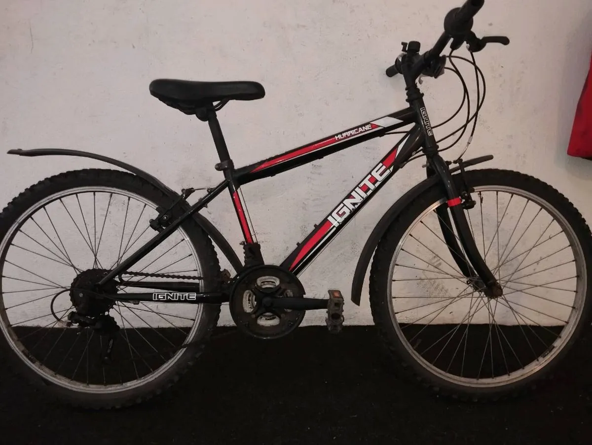 Boys 24inch bike - Image 1