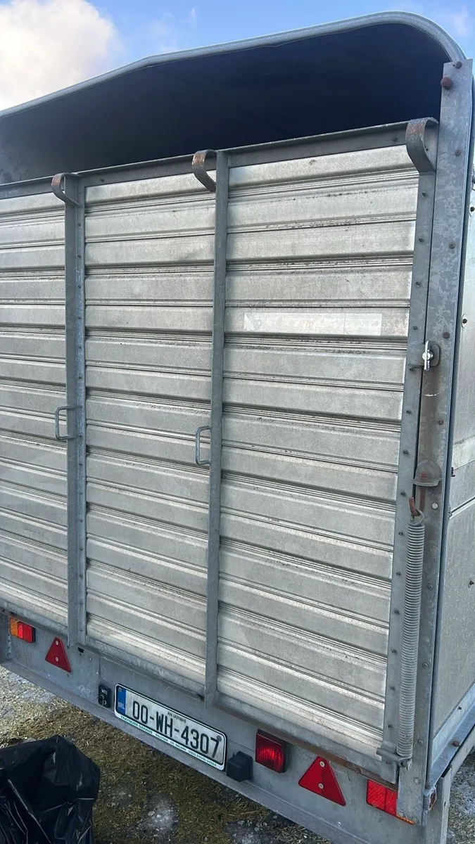 Cattle Trailer - Image 2