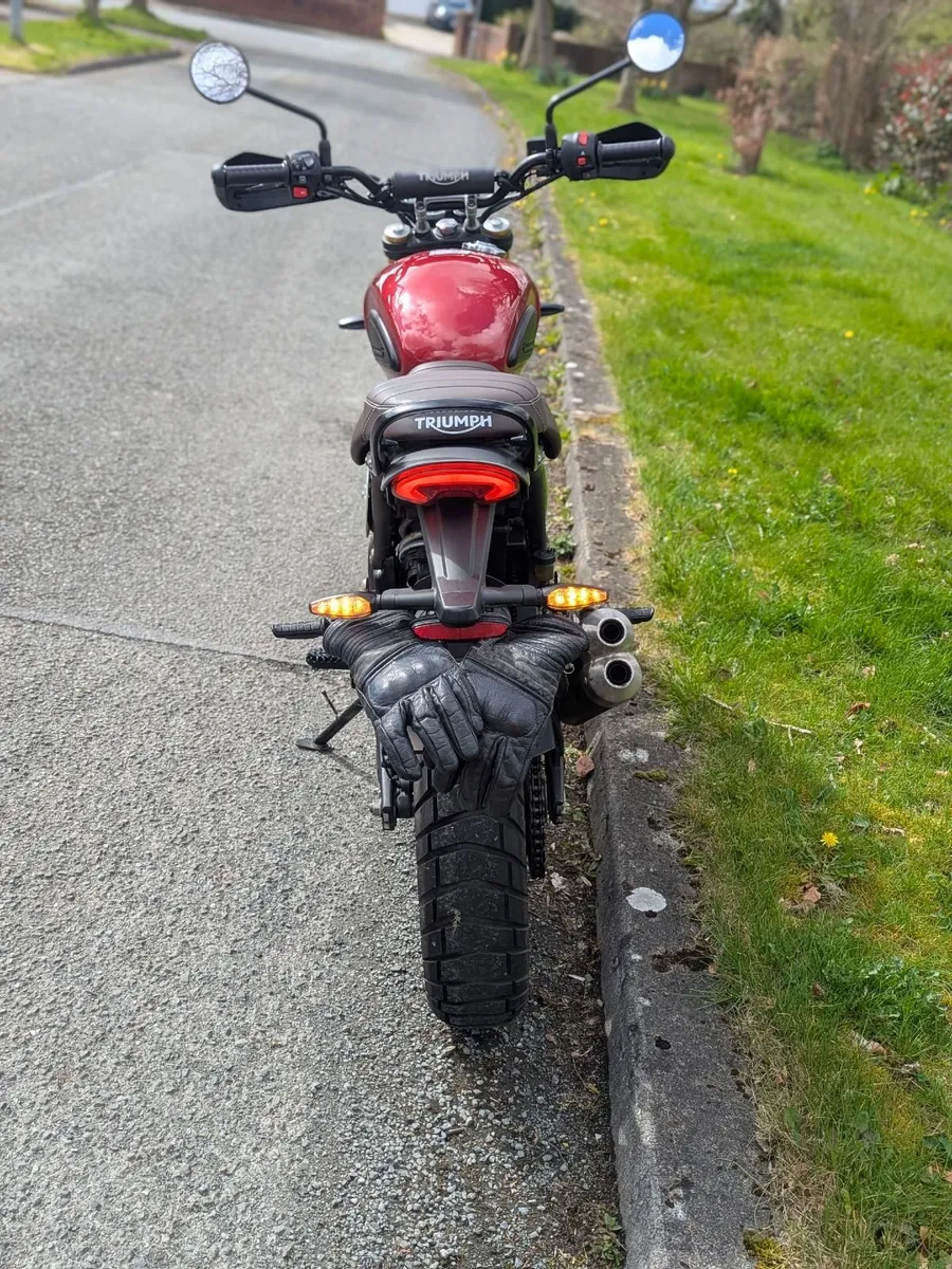 Triumph Other 2024 - Image 3