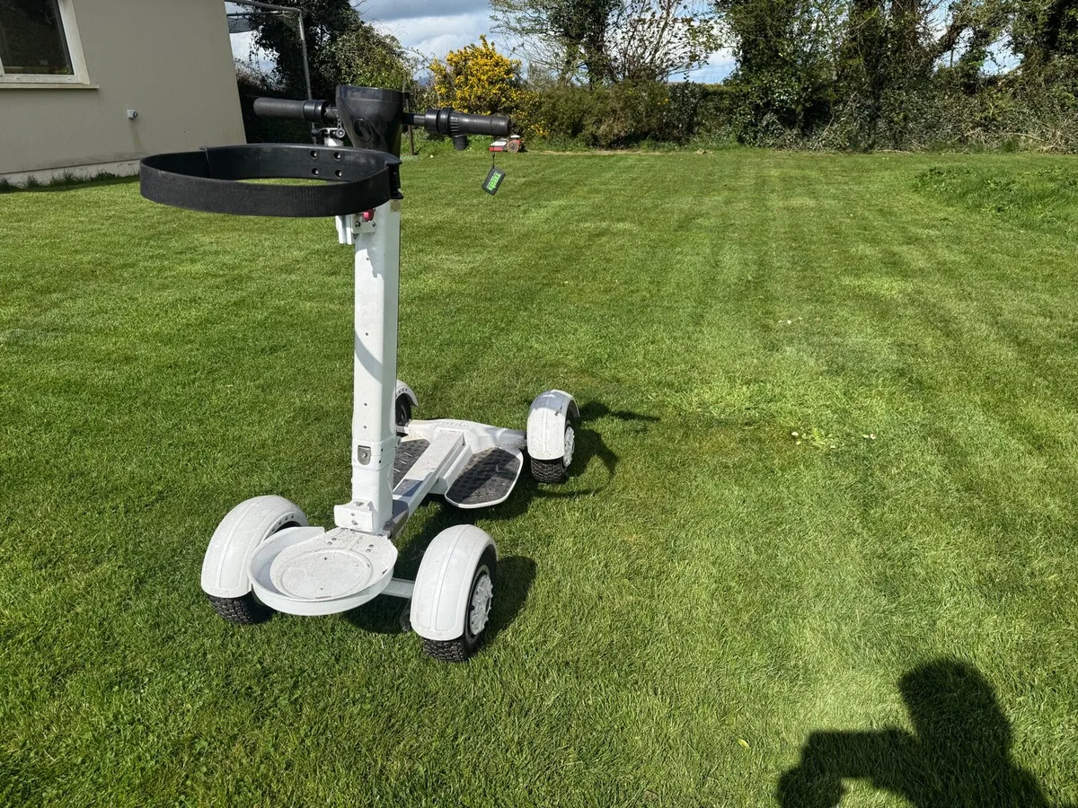Golf Skate Caddy - Image 3