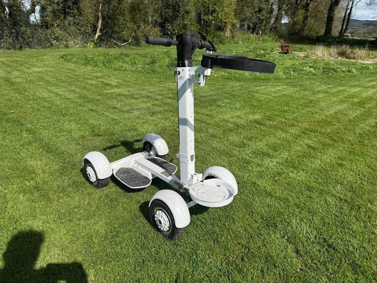 Golf Skate Caddy - Image 4