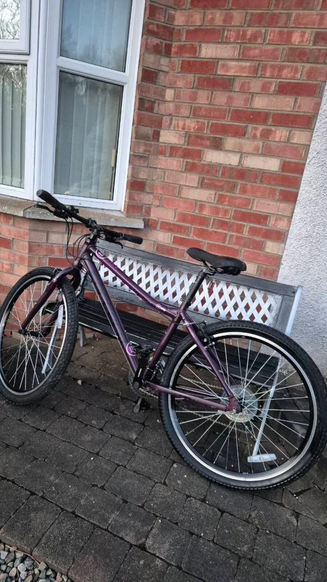 Carrera mountain bike - Image 1